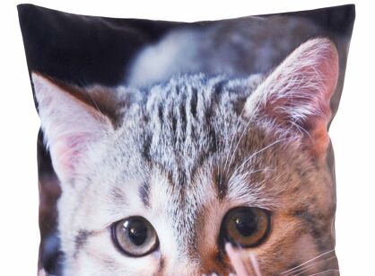 Poszewka welwetowa 45x45 ANIMAL 75 zdobiona nadrukiem kota