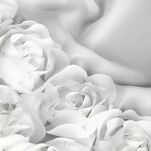 Zazdrostka w tunelu 150x90 ROSES 11 biała Eva Minge z szyfonu z pasem róż 3D - 2