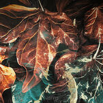 Pościel z makosatyny 220x200 EVA 16 Eva Minge czarna z designerskim wzorem z kolekcji Premium - 2