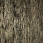 Zasłona na taśmie 140x270 EMILA welwetowa czarna z szampańskim przecieranym wzorem - 2