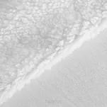 Koc na fotel jednokolorowy 70x160 TEDY biały imitujący buklę - 2