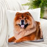 Poszewka welwetowa 45x45 ANIMAL 73 zdobiona nadrukiem psa - 2
