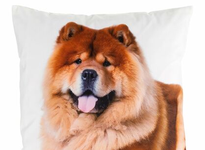 Poszewka welwetowa 45x45 ANIMAL 73 zdobiona nadrukiem psa