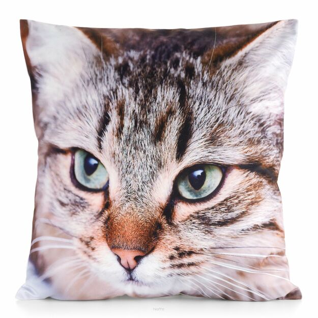 Poszewka welwetowa 45x45 ANIMAL 67 zdobiona nadrukiem kota
