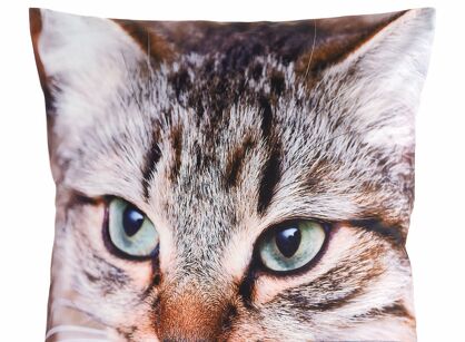 Poszewka welwetowa 45x45 ANIMAL 67 zdobiona nadrukiem kota