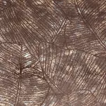 Zasłona na taśmie 135x270 TULIA welwetowa kawowa z szampańskim wzorem wyrazistych liści - 2