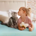 Prześcieradło z bawełny jersey 3 z gumką białe 240x220 - 9