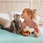 Prześcieradło z bawełny jersey 3 z gumką kremowe 240x220 - 8