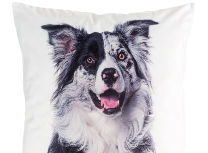Poszewka welwetowa 45x45 ANIMAL 77 zdobiona nadrukiem psa