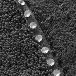 Dywanik bawełniany 60x90 CHIC czarny zdobiony kryształkami - 2