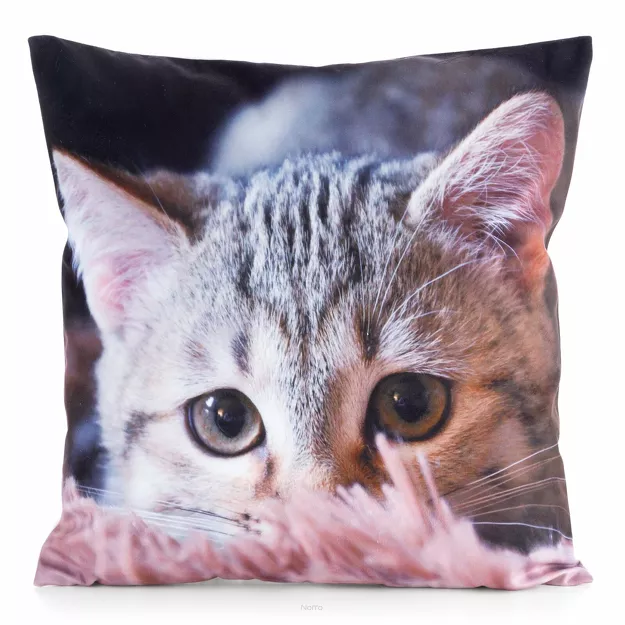 Poszewka welwetowa 45x45 ANIMAL 75 zdobiona nadrukiem kota