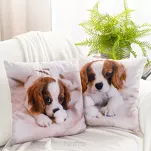 Poszewka welwetowa 45x45 ANIMAL 72 zdobiona nadrukiem pieska - 2