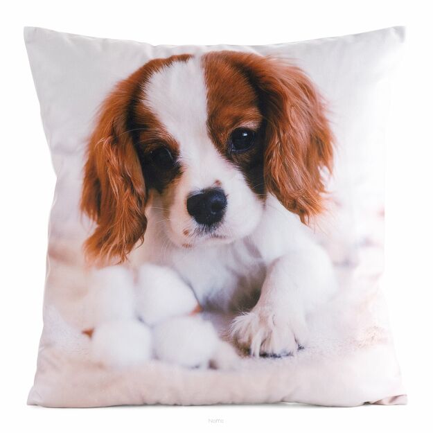 Poszewka welwetowa 45x45 ANIMAL 72 zdobiona nadrukiem pieska