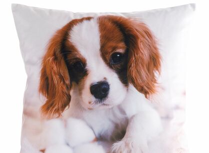 Poszewka welwetowa 45x45 ANIMAL 72 zdobiona nadrukiem pieska