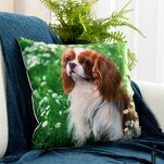 Poszewka welwetowa 45x45 ANIMAL 74 zdobiona nadrukiem pieska - 2