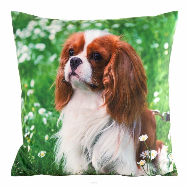 Poszewka welwetowa 45x45 ANIMAL 74 zdobiona nadrukiem pieska