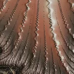 Pościel z makosatyny 160x200 REINA 18 brązowa z nadrukiem panelowym efekt 3D - 4