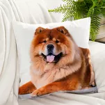 Poszewka welwetowa 45x45 ANIMAL 73 zdobiona nadrukiem psa - 2