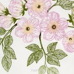 Pościel satynowa 220x200 NIKA 44 biała z różowym wzorem kwiatów i listków z kolekcji Nova Print - 2