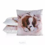 Poszewka welwetowa 45x45 ANIMAL 87 zdobiona nadrukiem pieska - 3