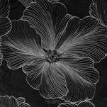 Zasłona na taśmie 140x300 STELLA welwetowa czarna ze srebrnym kwiatowym nadrukiem - 2