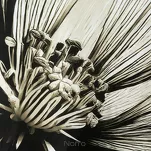 Pościel satynowa 140x200 SPRING 78 jasny beż brąz z wzorem roślinnym z kolekcji Classic - 4