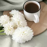 Prześcieradło z bawełny renforce z gumką 160x200 beżowe BASIC - 7