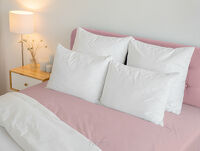 Prześcieradło z bawełny renforce z gumką 160x200 pudrowe BASIC - 9