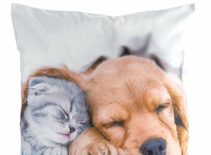 Poszewka welwetowa 45x45 ANIMAL 69 zdobiona nadrukiem kotka i pieska